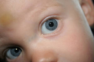 18mth005.jpg