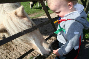 farm0007.jpg