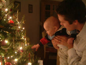 xmastree.jpg
